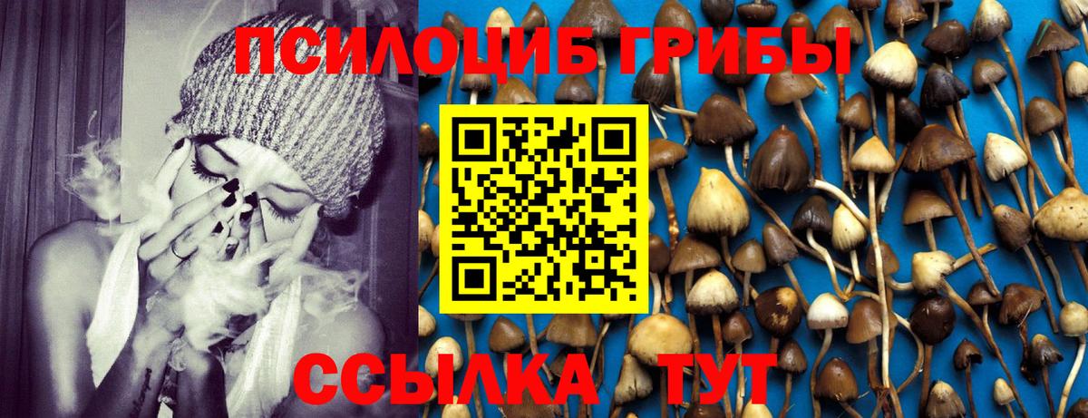 Псилоцибиновые грибы прущие грибы  Вход с VPN  Еманжелинск 