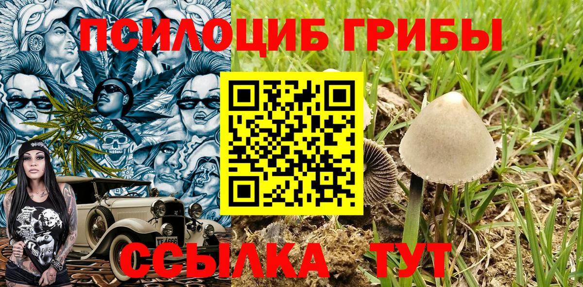 Псилоцибиновые грибы MAGIC MUSHROOMS Еманжелинск